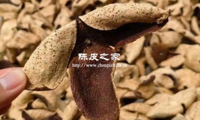 新會陳皮曬干還是蒸效果好