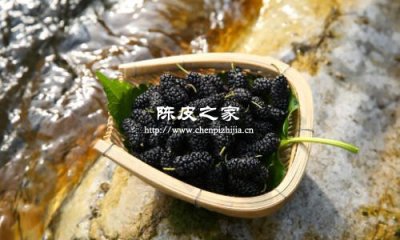 陳皮玫瑰花桑葚泡水的功效