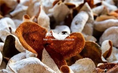 南坦陳皮和天馬陳皮的區(qū)別