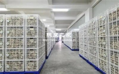 智能恒溫倉如何顛覆傳統(tǒng)陳皮陳化工藝?