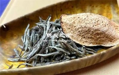 福鼎白茶與陳皮泡水的功效與作用