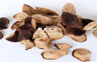 夏季用陳皮和檸檬一起泡水喝好嗎?