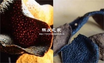 你買的陳皮是真的嗎?3招教你避開“做舊皮”陷阱