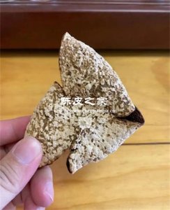 陳皮收藏家為何癡迷蟲(chóng)蛀洞?瑕疵竟是加分項(xiàng)?