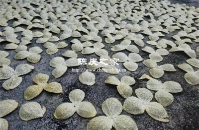 陳皮=橘子皮?你可能浪費了百萬藥材