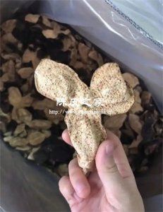 十年陳皮不如三年陳皮好?年份騙局大起底