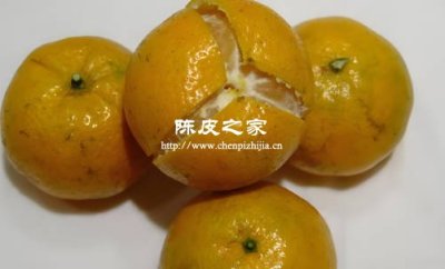 做陳皮的果肉和普通的果肉有什么區別嗎