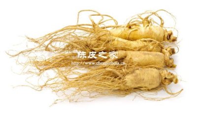 陳皮能和人參一起泡水喝嗎，用量多少