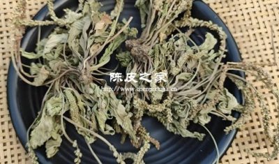 車前草加陳皮茶可以長期喝嗎