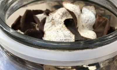 從藥用價值到日常養生:陳皮的多重作用