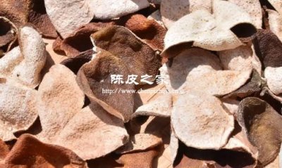 陳皮揮發油、黃酮類物質:功效受啥影響?