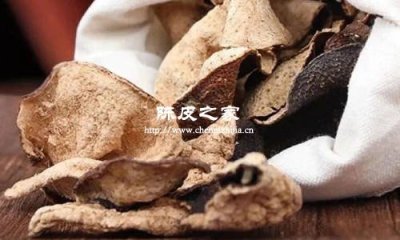 解鎖陳皮散結奧秘,附最佳存放攻略