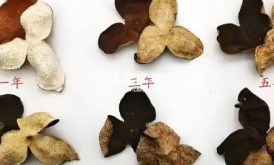 不同顏色的陳皮在功效上有區(qū)別嗎