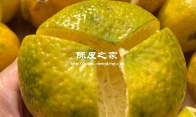 陳皮的炮制工藝與口感的微妙關系