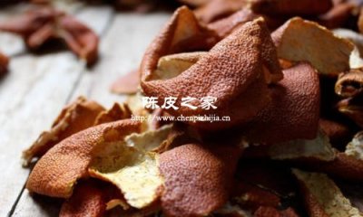 陳皮飲用新花樣，讓你愛上養生