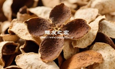 吃陳皮會上火嗎？答案來了