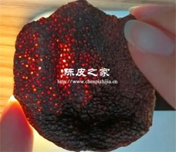 如何用手機上的手電筒鑒別真假陳皮？