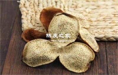 陳皮和柚子皮、橙子皮有什么區(qū)別?