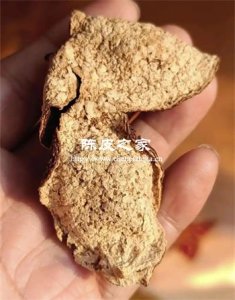 蟲蛀陳皮該丟棄還是挽救?分級處置方案全解析