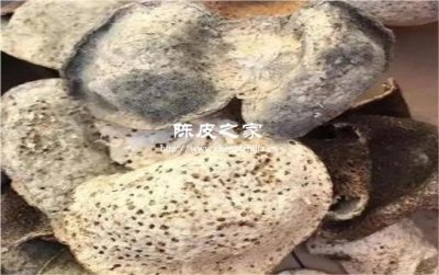 輕微發霉的陳皮煮湯更鮮美嗎?