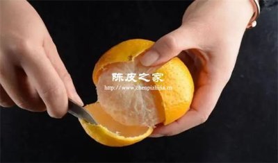 三刀開皮：嶺南匠人守護的千年陳化密碼