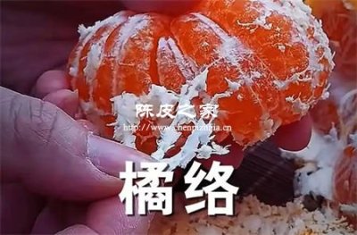 吃完橘肉扔橘絡？你扔掉了血管清道夫