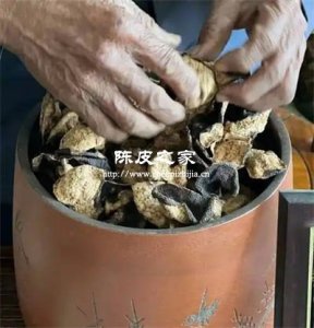 從南洋到美洲:陳皮如何成為華僑的鄉愁符號?