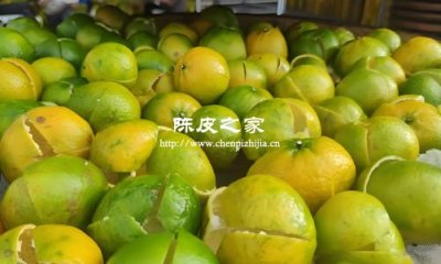 新陳皮為什么有的綠有的黃