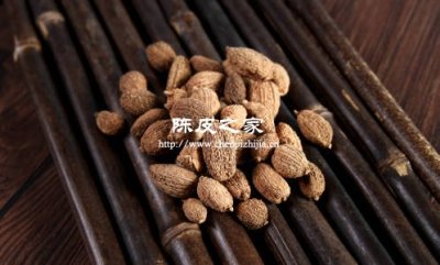 砂仁 + 陳皮，脾虛濕困者的福音