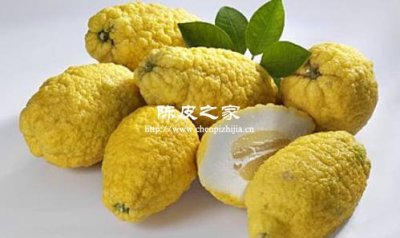 陳皮配香櫞，理氣寬胸新選擇