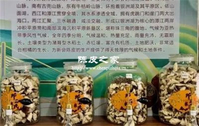 元宇宙陳皮博物館:數字藏品的文化IP