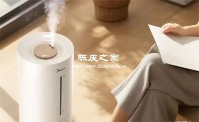 空調房喉嚨干?陳皮雪梨飲比加濕器更管用