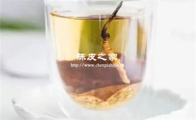 陳皮與冬蟲夏草可以一起吃嗎